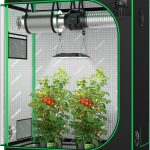 grow tent